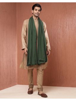 Fabindia - Green Wool Woven Men Shawl