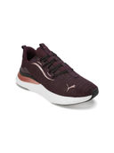 Purple color option, Currently selected