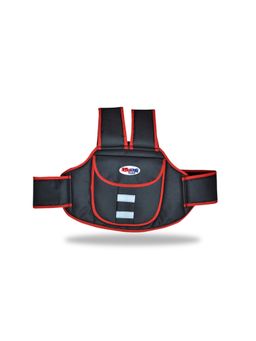 Chinmay Kids - Vehicle Adjustable Safety Harness Strap Baby Carier - Grey