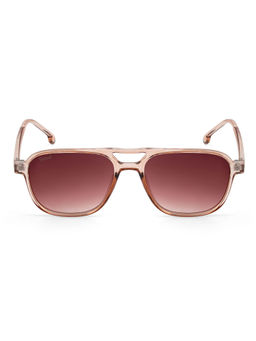 Stood - Wine Square Uv Coating Full Rim Sunglass-Sg-Std0017-C3