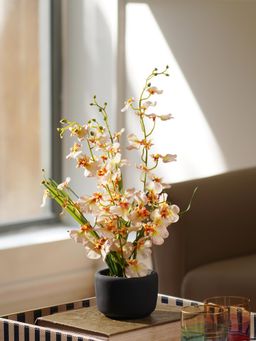 Pure Home + Living - Ivory Artificial Dancing Lady Orchid Cement Pot