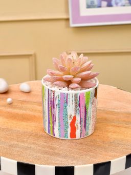 Tayhaa - Multi-Color Succulent Artificial Plant with Vertical Stripes Along with Pot