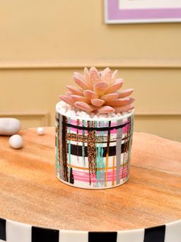 Tayhaa - Multi-Color Succulent Artificial Plant with Stripes Along with Pot