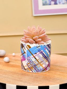 Tayhaa - Multi-Color Succulent Artificial Plant with Stripes Along with Pot