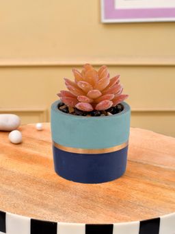 Tayhaa - Succulent Artificial Plant with Blue Matt Finish Pot