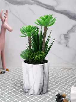 Tayhaa - White Artificial Succulent Indoor Plant with Ceramic Pot
