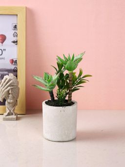 Tayhaa - White Artificial Succulent Indoor Plant with Ceramic Pot