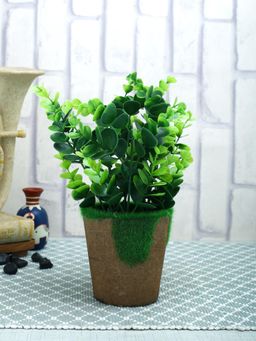 Tayhaa - Brown Artificial Jade Plant with Pot
