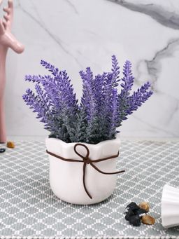 Tayhaa - White Highly Attractive Plant with Ceramic Pot