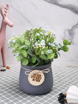 Tayhaa - Grey Bunch of Realistic Florist Kalanchoe with Ceramic Pot
