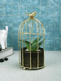 Tayhaa - Black Aloe Vera Plant Ceramic Pot with Attractive Bird Cage