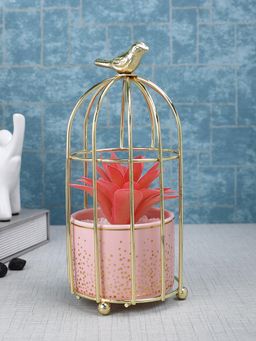 Tayhaa - Pink Succulent Plant Ceramic Pot with Attractive Bird Cage