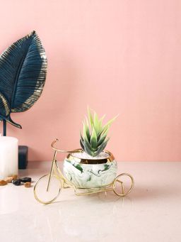 Tayhaa - White Aloe Vera Plant Ceramic Pot On Beautiful Cycle Cart