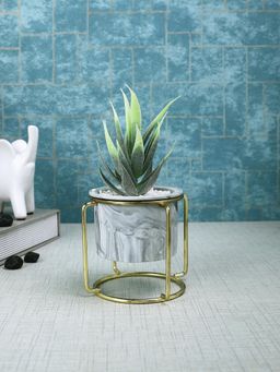 Tayhaa - Aloe Vera Plant Grey Ceramic Pot with Metal Stand