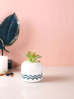 Tayhaa - Pristine And Awe-Struck Indoor Succulent Plant with White Ceramic Pot