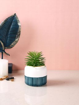 Tayhaa - White Pristine And Awe-Struck Indoor Faux Plant with Dual Shade Ceramic Pot