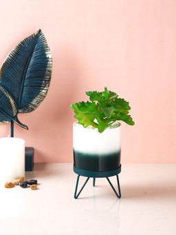 Tayhaa - White Attractive Fern with Dual Shade Ceramic Pot with Stand