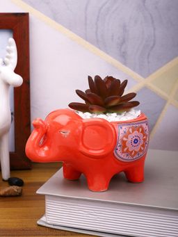 Tayhaa - Succulent Plant Inside An Artistic Red Elephant Ceramic Pot