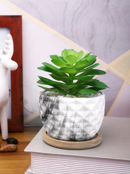 Tayhaa - White Artificial Succulent Plant Patterned Ceramic Pot with Wooden Plate