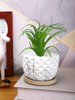 Tayhaa - White Artificial Fern Plant Patterned Ceramic Pot with Wooden Plate