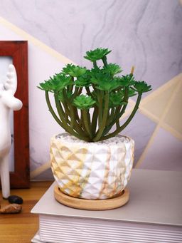 Tayhaa - White Artificial Aeonium Arboreum Plant Patterned Ceramic Pot with Wooden Plate