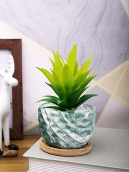 Tayhaa - Green Artificial Aloe Vera Plant Patterned Ceramic Pot with Wooden Plate