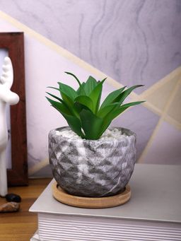 Tayhaa - Grey Artificial Aloe Vera Plant Patterned Ceramic Pot with Wooden Plate