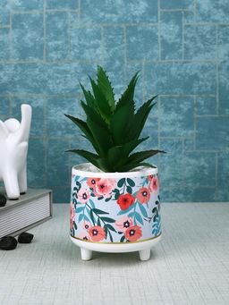 Tayhaa - Blue Attractive Aloe Vera Plant with Flowers Print Ceramic Pot