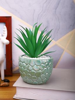 Tayhaa - Attractive Aloe Vera Plant with Green Pebble Patterned Design Ceramic Pot