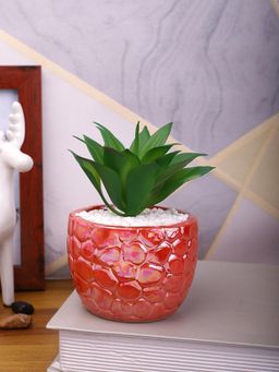 Tayhaa - Attractive Aloe Vera Plant with Red Pebble Patterned Design Ceramic Pot