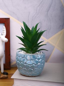 Tayhaa - Attractive Aloe Vera Plant with Blue Pebble Patterned Design Ceramic Pot