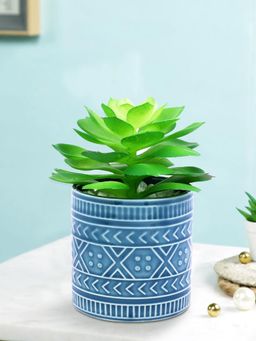 Tayhaa - Blue Highly Attractive Succulent Plant with Designer Ceramic Pot