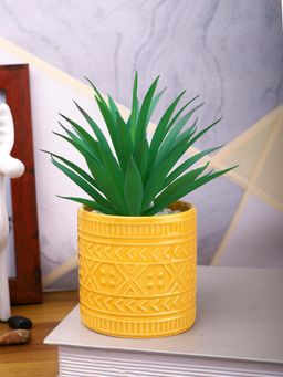 Tayhaa - Yellow Highly Attractive Aloe Vera Plant with Designer Ceramic Pot