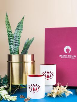 Manor House - Waves and Lotus Gift Set