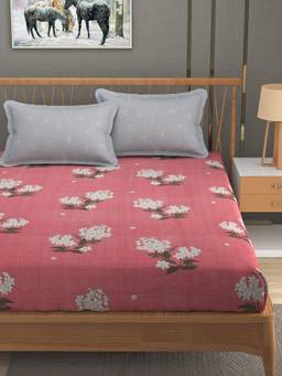 MORADO - Glace Cotton King Fitted Bedsheet King Size-Orange