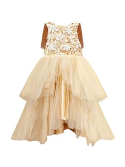 Alyaansh Couture - Embellished Net Maxi Dress