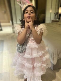 Alyaansh Couture - Blush Pink Furr Knee Dress