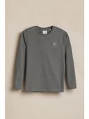 Grey color option, Currently selected