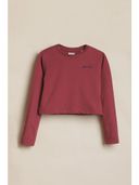 Maroon color option, Currently selected