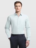 Green color option, Currently selected