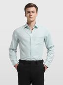 Green color option, Currently selected