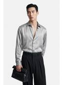 Silver color option, Currently selected