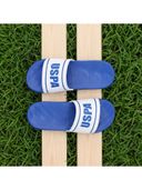 Blue color option, Currently selected