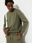 Green color option