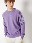 Purple color option, Currently selected