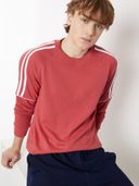 Red color option, Currently selected