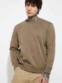 Beige color option