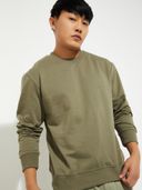 Green color option, Currently selected