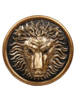 Ashnam - Lion Head Wall Art Showpieces Gold