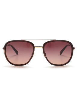 Tommy Hilfiger - Wine Aviator Sunglasses Full Rim Brown Gold Frame With Gradient